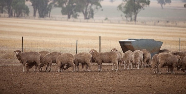 On-Farm Drought Infrastructure Grants